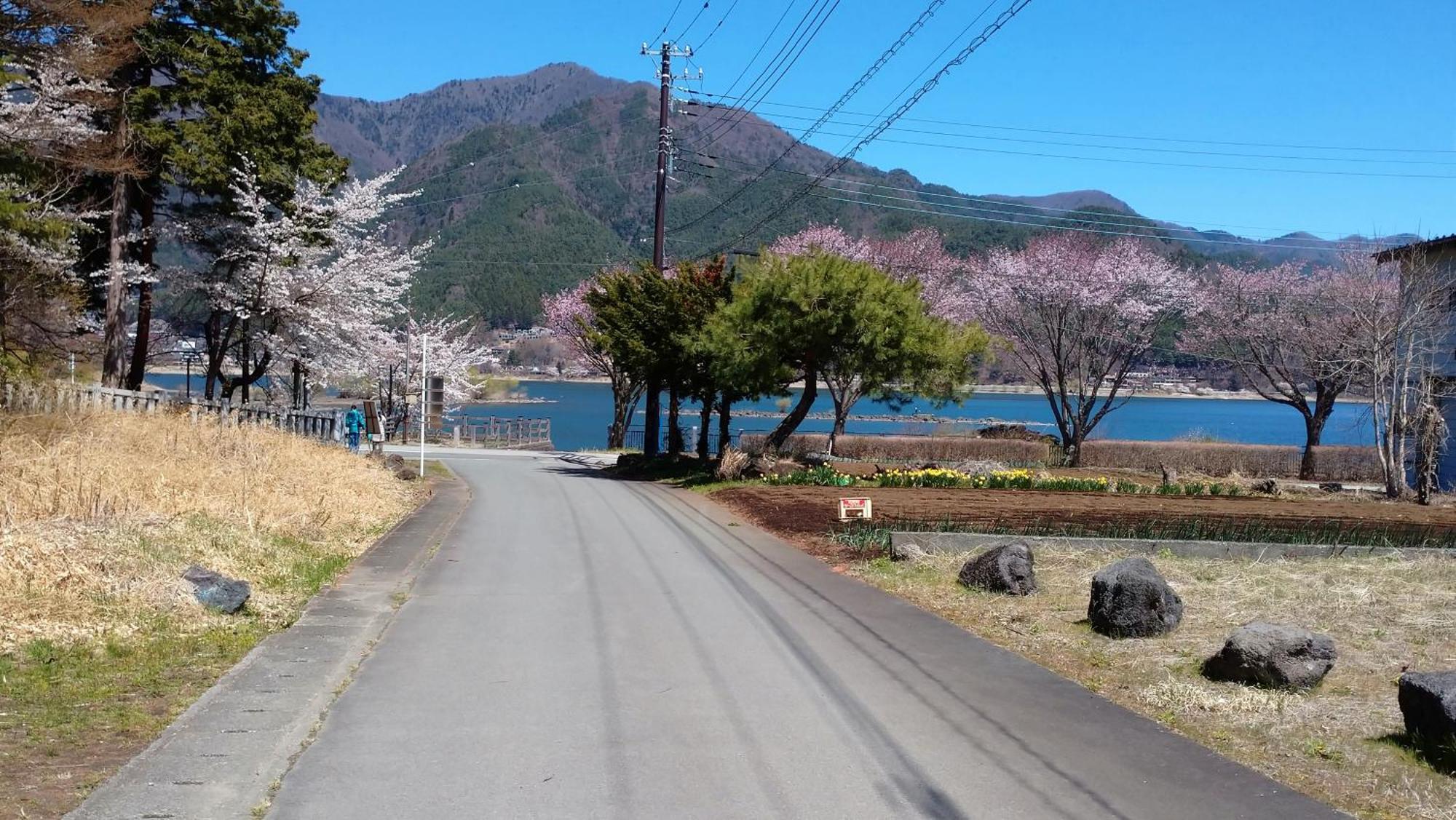 Nishimiyasou Hotell Fujikawaguchiko Exteriör bild