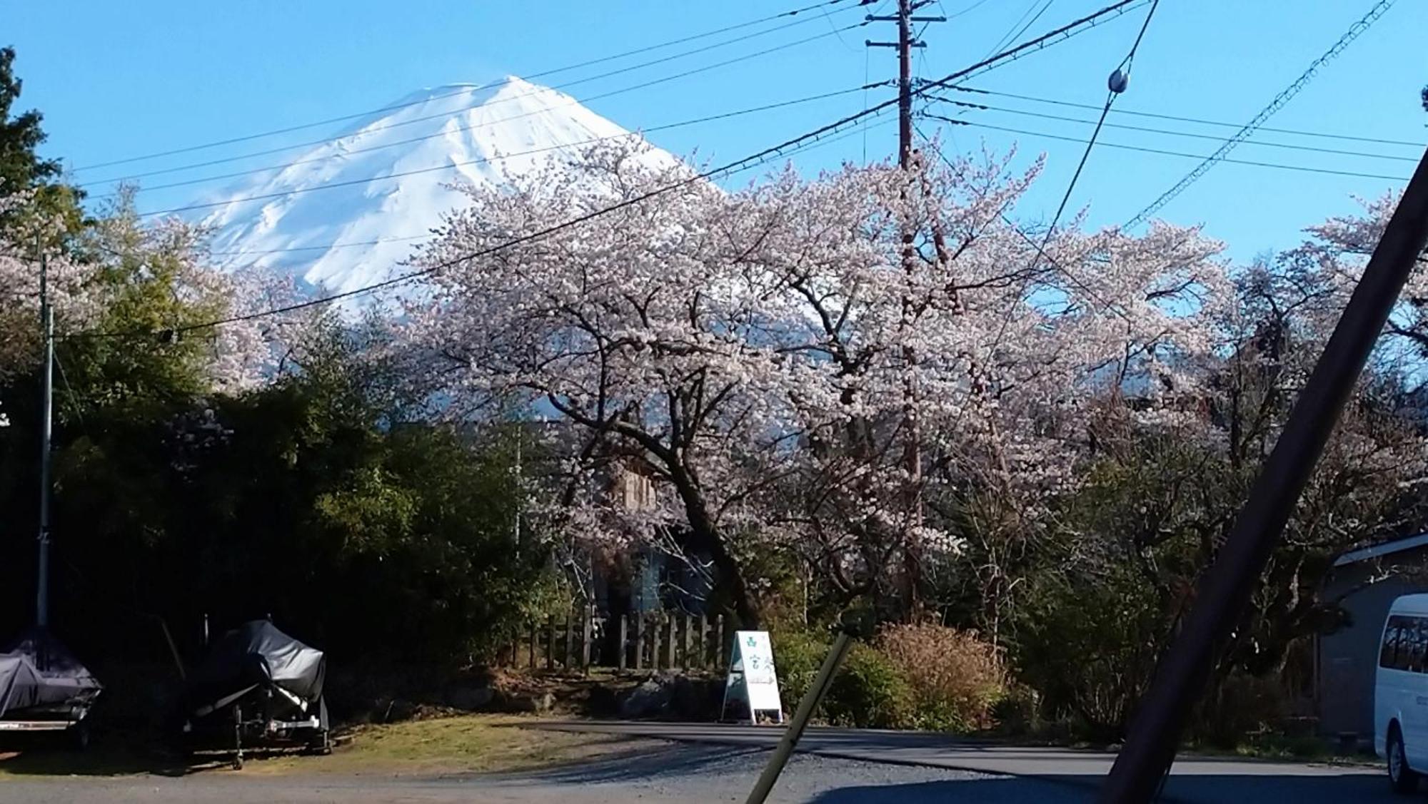 Nishimiyasou Hotell Fujikawaguchiko Exteriör bild