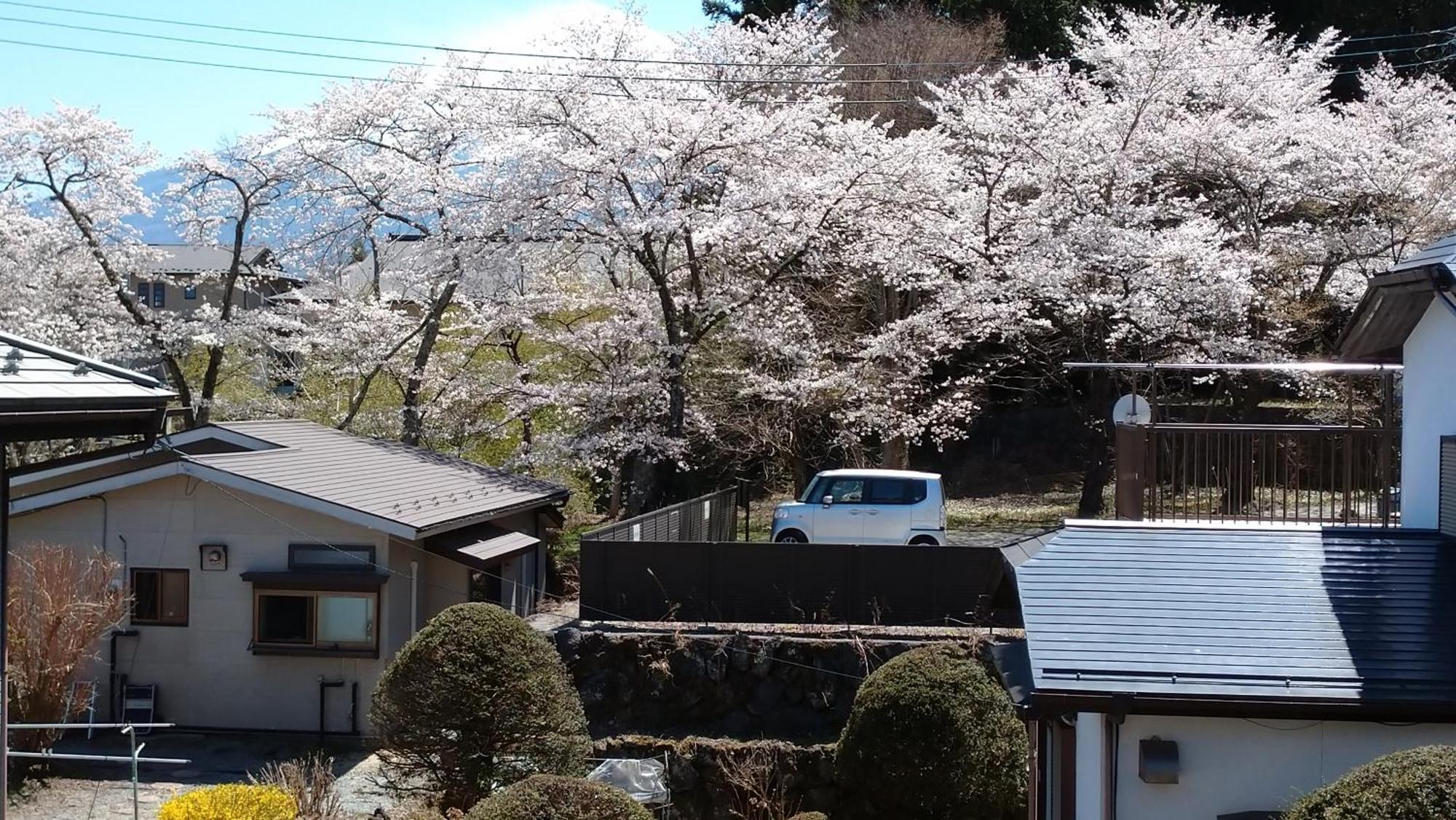 Nishimiyasou Hotell Fujikawaguchiko Exteriör bild