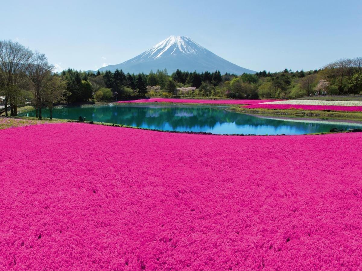 Nishimiyasou Hotell Fujikawaguchiko Exteriör bild